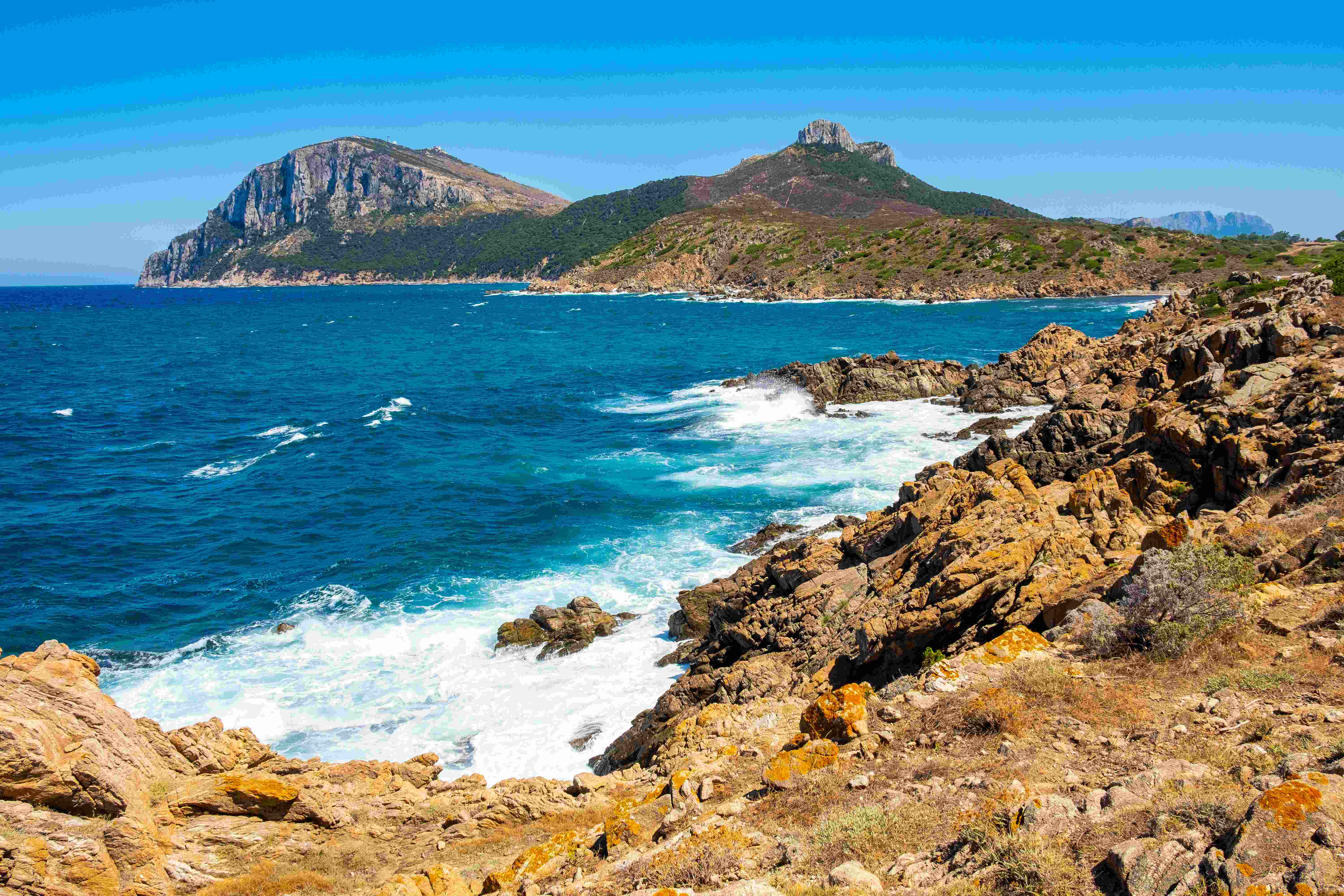 Figari